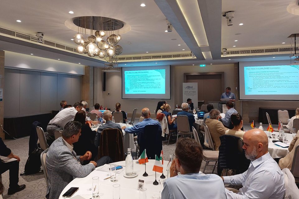 FEAP General Meeting 2026