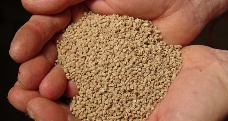 feed-in-hand-alltech