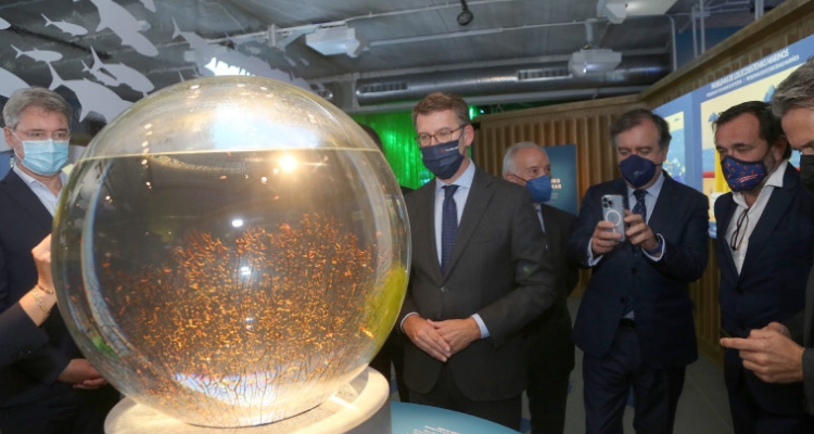 Feijoo durante la inauguración