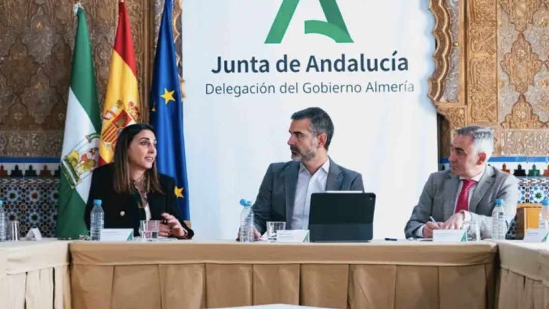 Fernandez Pacheco, Junta de Andalucía