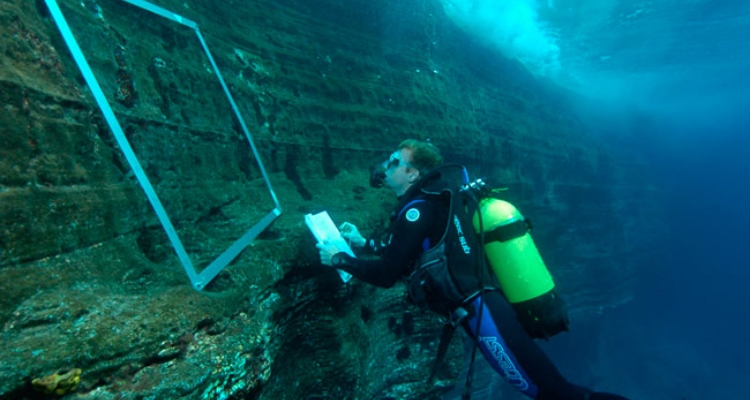 fernando-tuya-ecoaqua-alga-seba-amarilla