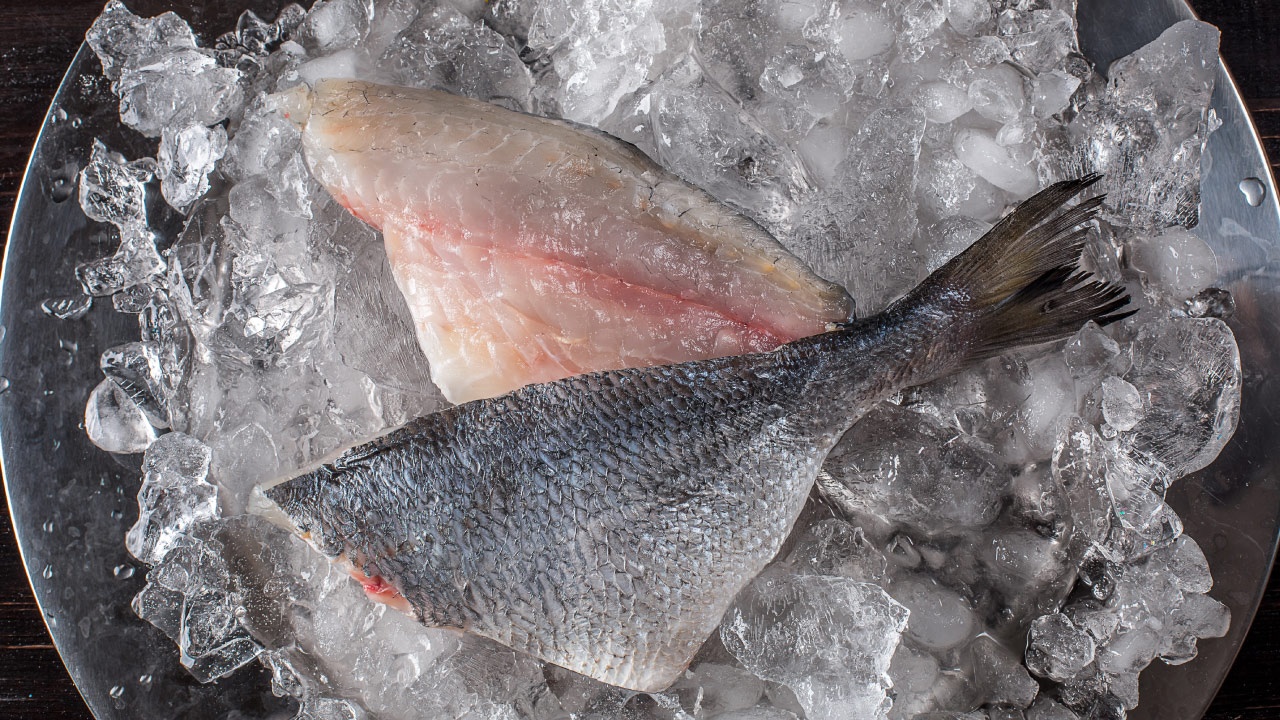 Filetes de dorada sobre hielo Filetes de dorada sobre hielo
