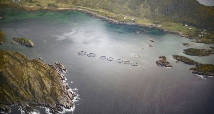 fiordo-noruega-jaulas-acuicultura fiordo-noruega-jaulas-acuicultura