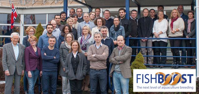 fishboost-equipo-participantes