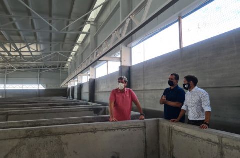 Gabriel Mato (eurodiputado) durante visita a ACUIPALMA