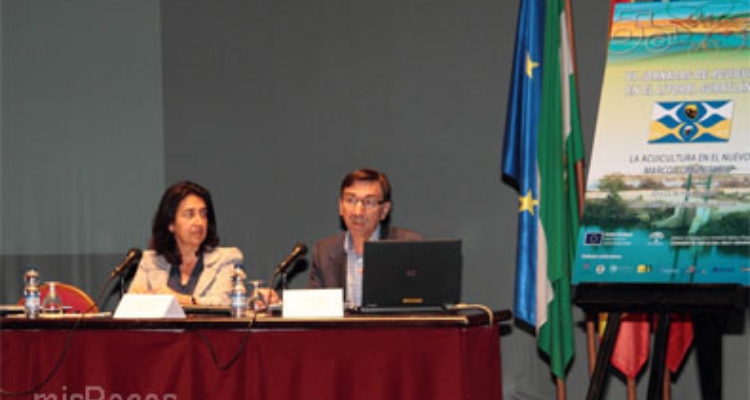 gaiteiro-jm-cartaya2014