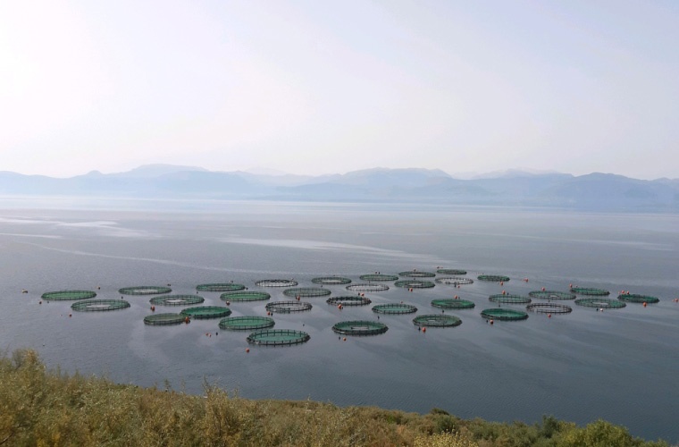 Granja marina de Galaxidi Marine Farm en Grecia Granja marina de Galaxidi Marine Farm en Grecia