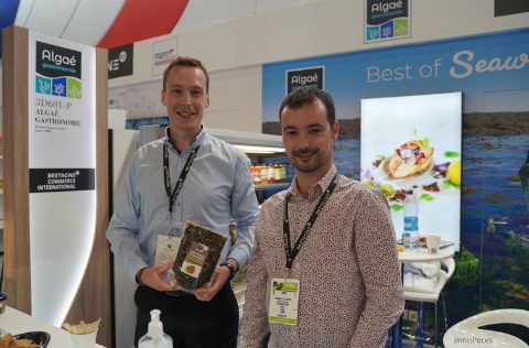 GlobeXplore salsa de algas para untar