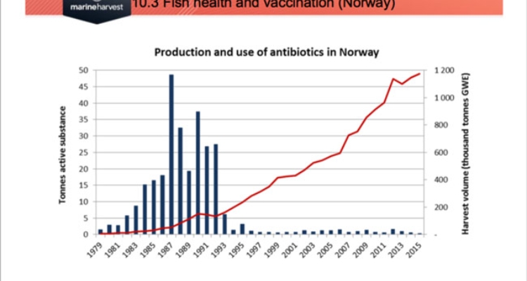 grafica-uso-antibioticos-salmonicultura-noruega