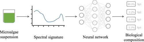 grafico-red-neuronal-microalgas-uva-ual