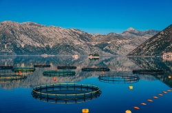 La tecnología es la solución ecológica a la eficiencia en el uso de los recursos y la energía