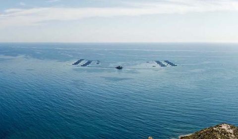 Granja Marina Culmarex