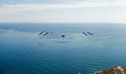 Granja Marina Culmarex
