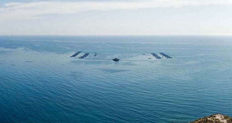 Granja Marina Culmarex