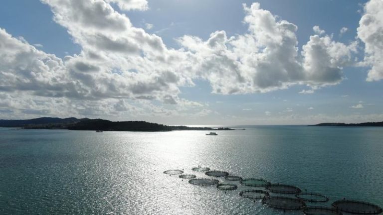 Granja de dorada y lubina de Kefalonia Fisheries (Grecia)