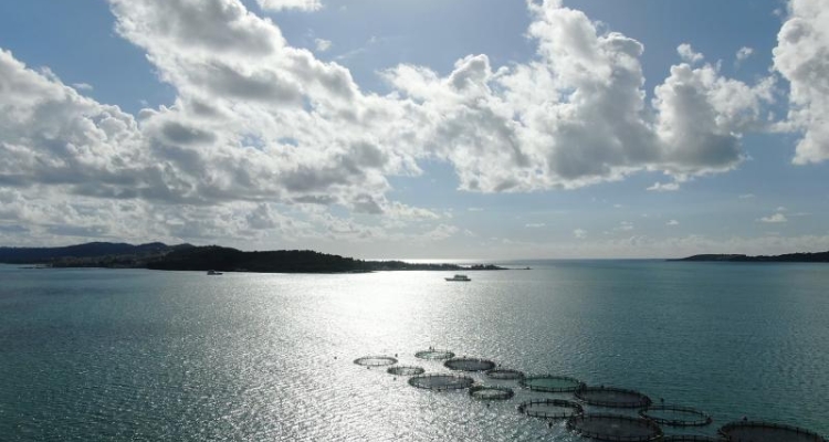 Granja de dorada y lubina de Kefalonia Fisheries (Grecia)