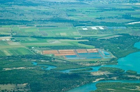 Granja de langostinos en Australia