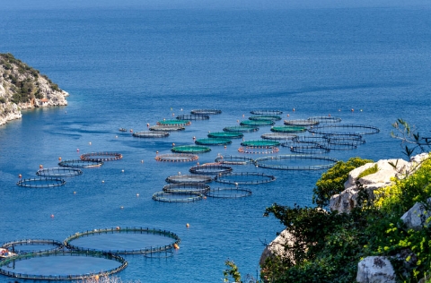 Granja marina en el mar Mediterráneo