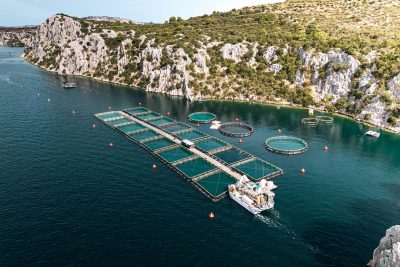 La Commissione europea mette investimenti e semplificazione amministrativa al centro dello sviluppo dell’acquacoltura verso il 2040