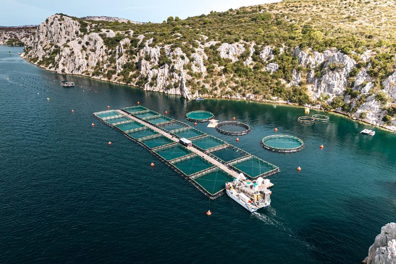 European Commission puts investment and simpler rules at the heart of aquaculture development towards 2040