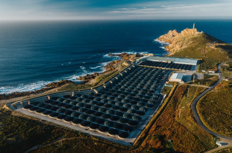 Granja de rodaballos de Stolt Sea Farm en Galicia