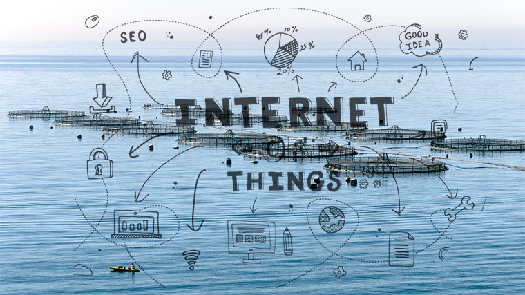 Granja Marina e IoT Granja Marina e IoT
