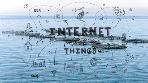 Granja Marina e IoT