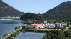grupo-tinamenor-pesues-cantabria