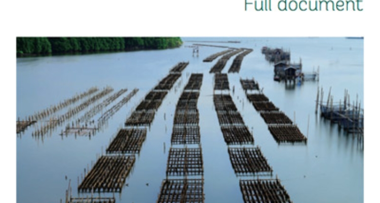 Guía FAO: Aquaculture zoning, site selection and area management under the ecosystem approach to aquaculture
