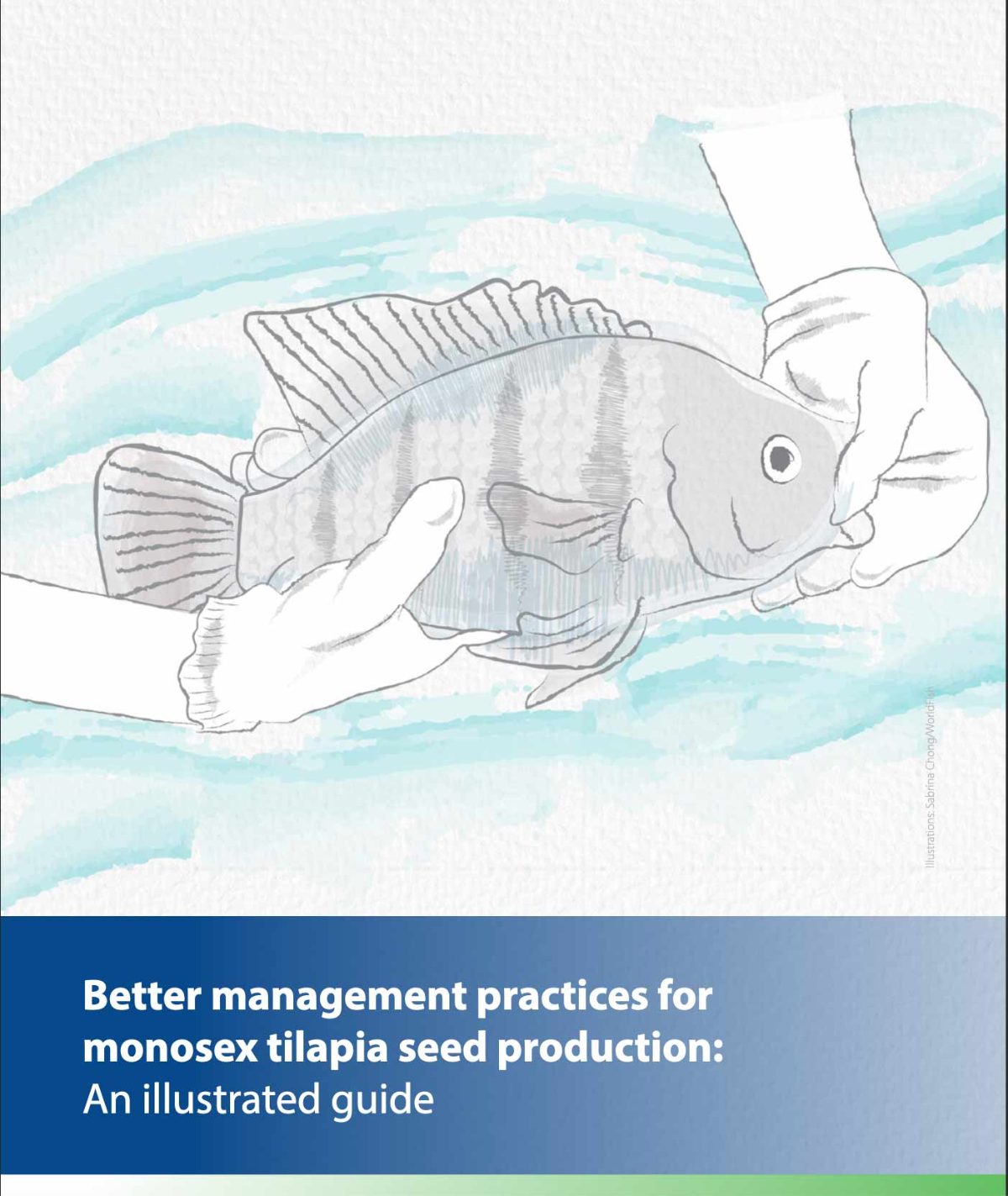 Guía ilustrada producción tilapia GIFT