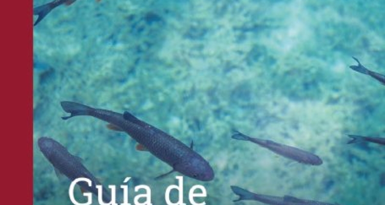 guia-recursos-acuicultura-univ-murcia
