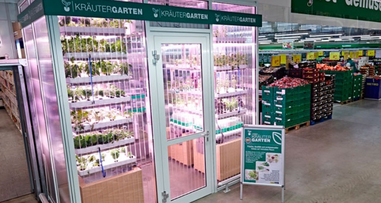 hightech-greenhouse-infarm