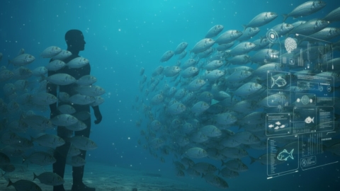 Human communication fish