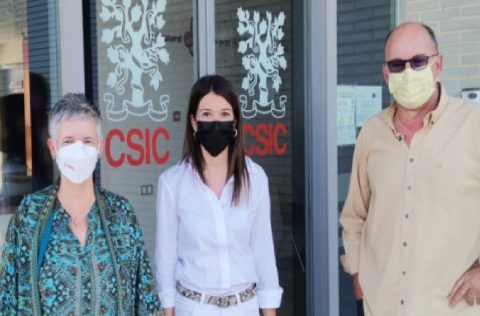IATS-CSIC becas Diputación Castellón