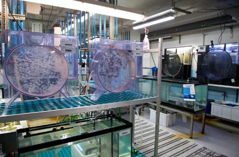 ICM-CSIC instalaciones interiores