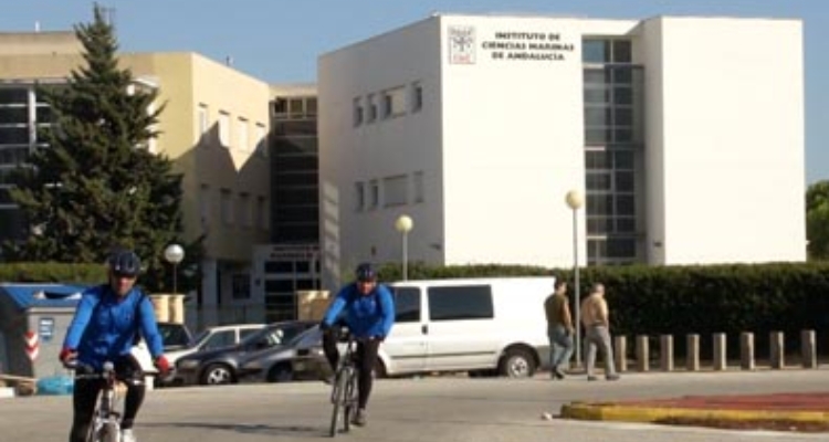 icman-csic-andalucia