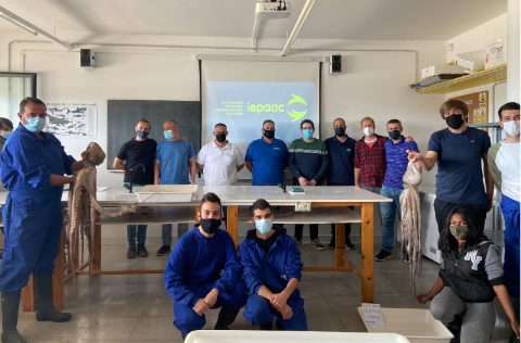 Instituto Enseñanza Profesional Acuicultura Cataluña con superpulpo