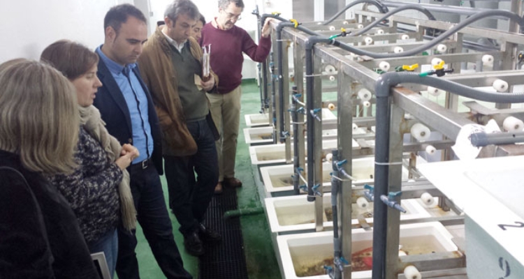 ifapa-agua-pino-delegado-huelva