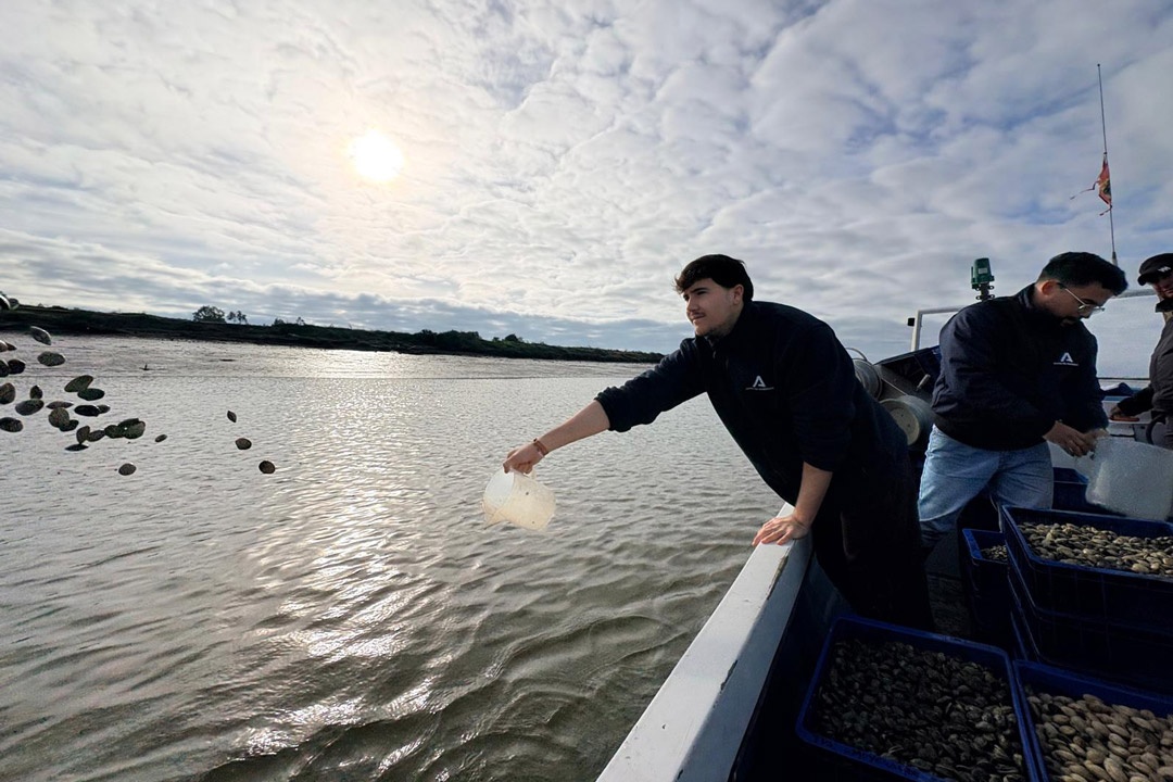 IFAPA Agua del Pino suelta de almeja fina
