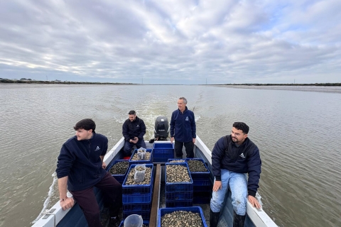 IFAPA Agua del Pino suelta de almeja fina