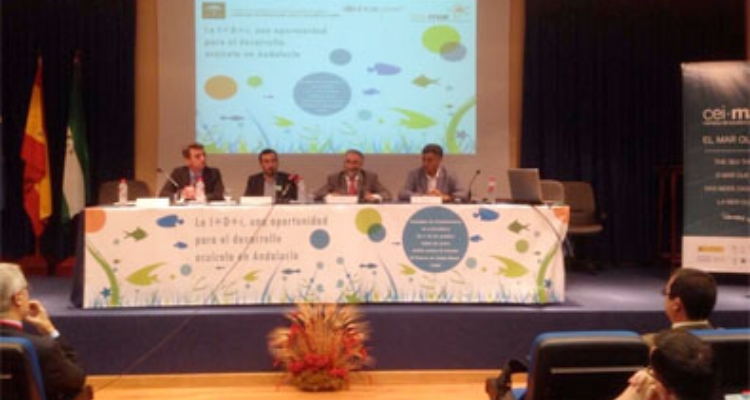 ifapa-jornada-imasd