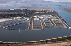 Interreg Euro-MED project AZA4ICE is preparing seminars to promote circular aquaculture systems