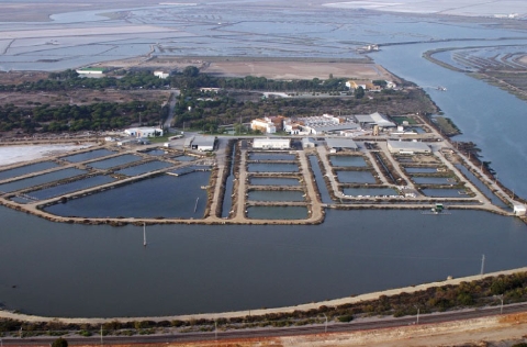 vista aérea del IFAPA Centro Toruño