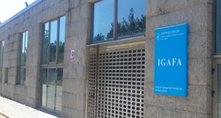 Fallada del IGAFA, Galicia Fallada del IGAFA, Galicia
