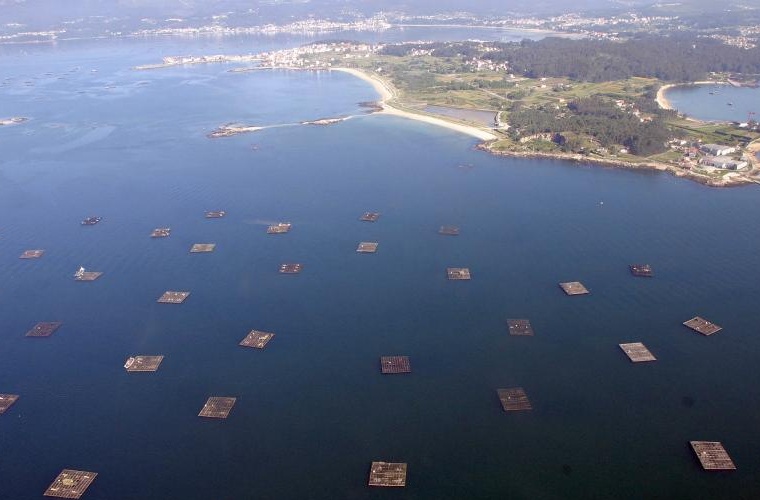 illa-arousa-bateas illa-arousa-bateas