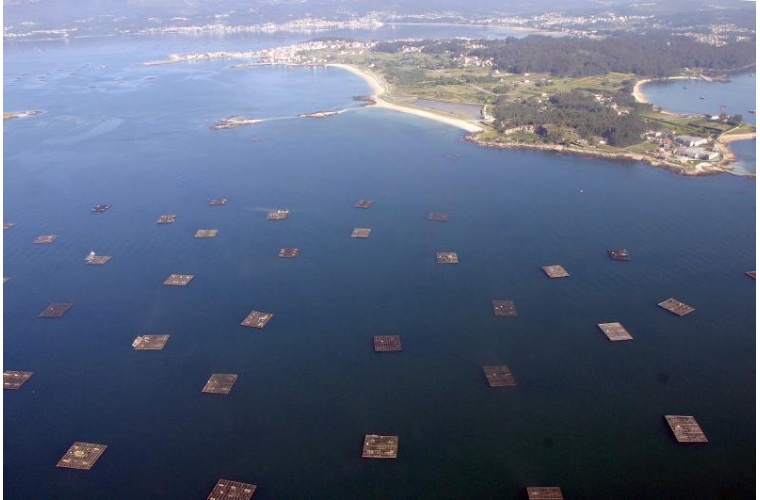 illa-arousa-bateas illa-arousa-bateas