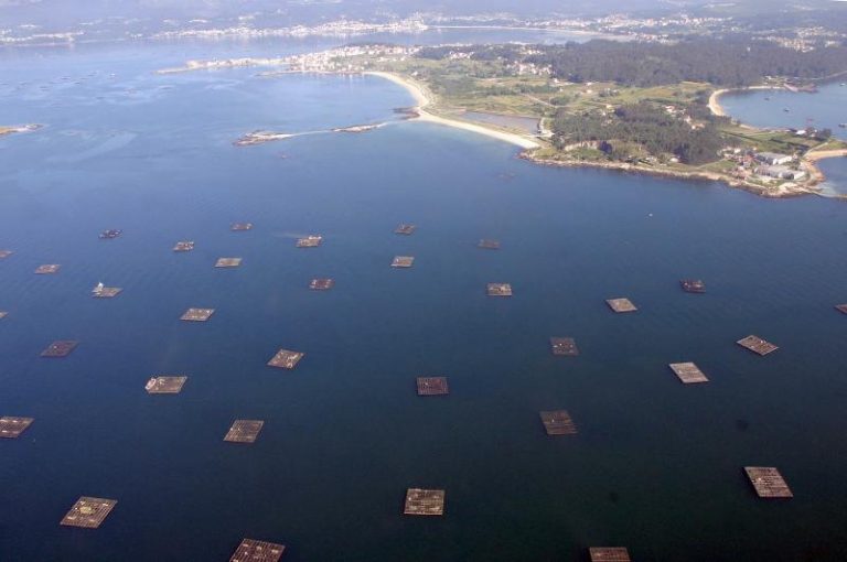 illa-arousa-bateas