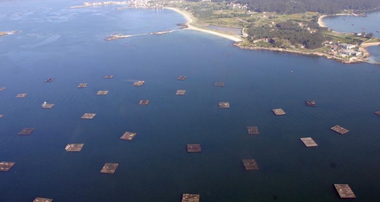 illa-arousa-bateas illa-arousa-bateas