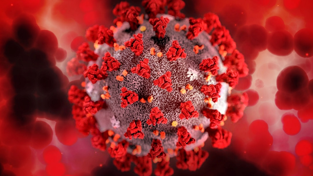 Imagen de virus