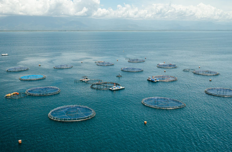 La costarricense Industrias Martec culmina la adquisición de